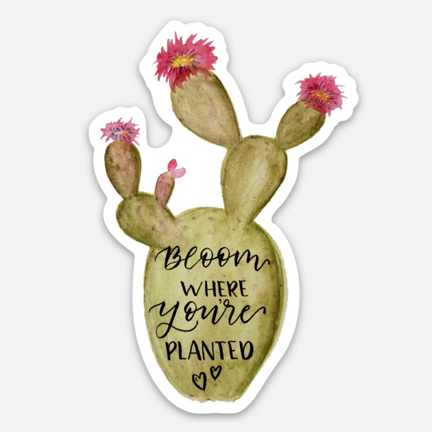 Sticker - Prickly Pear - "Bloom Where You're Planted"